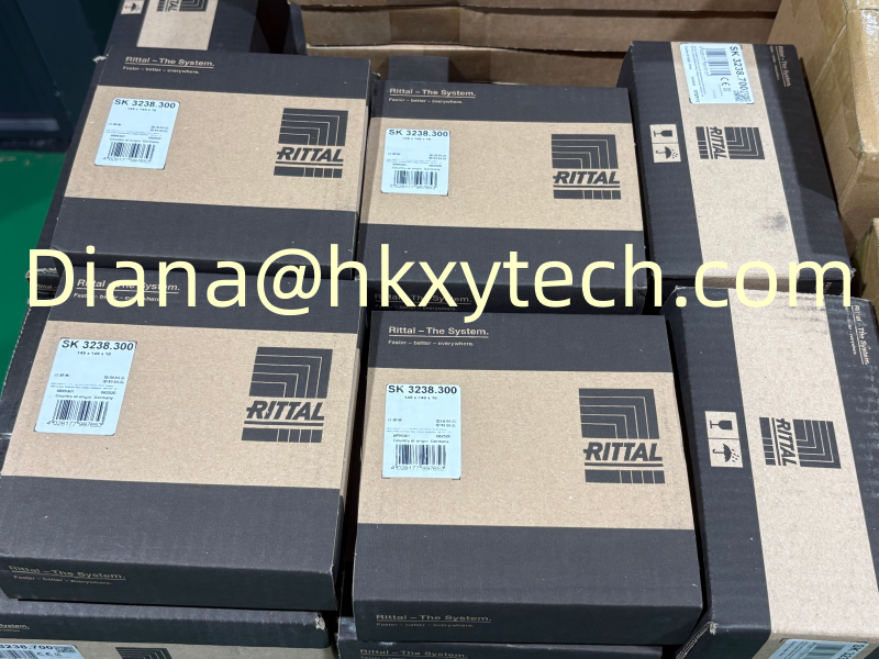 RITTAL SK 3238.300