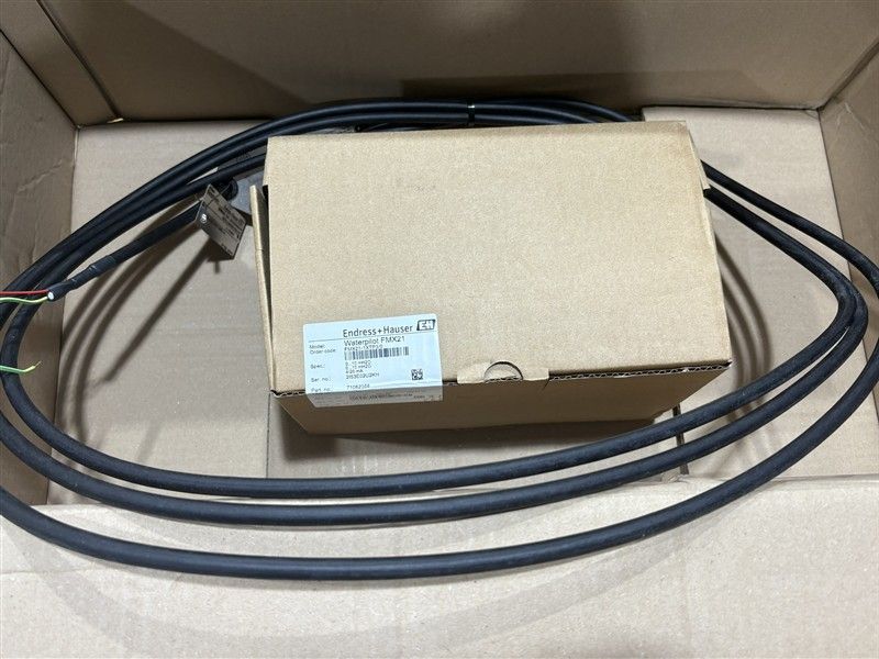 Robust E+H FMX21-AA121HGD15A+POPS Hydrostatic Level Probe for Reliable Water and Process Measurement