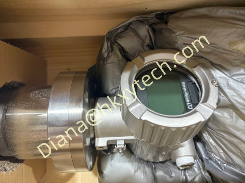 Endress Hauser FMX21-AA111GGB11A shared reference image