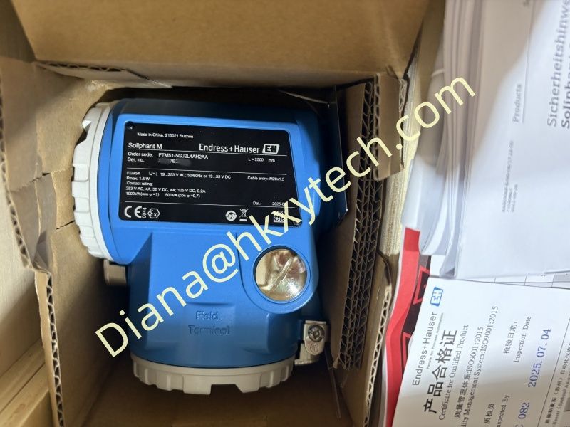 Genuine Product Endress+Hauser FTM51-AGG2L4A32AJ 300mm Vibration Fork Level Sensor for Liquid Detection Original